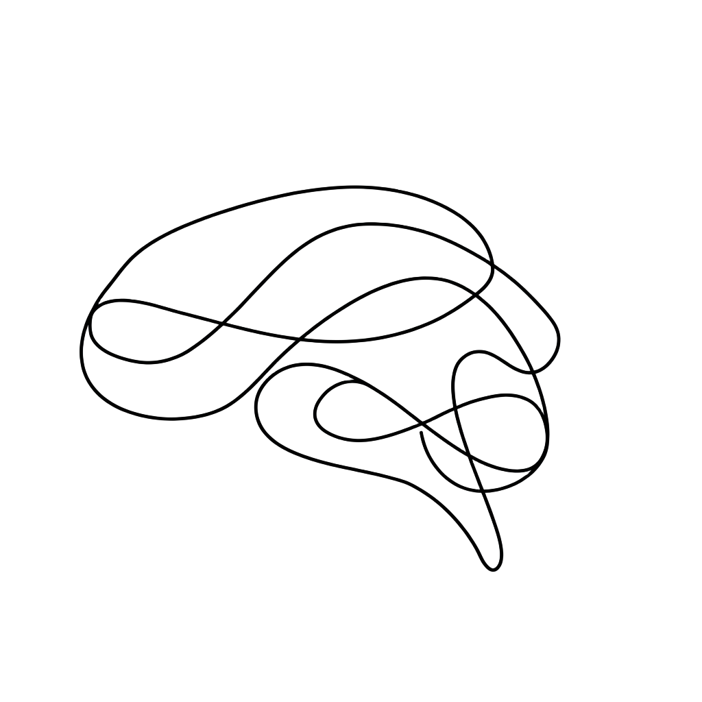 Anatomical brain sketch